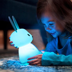 LED Rabbit Night Light - No doubt desktop